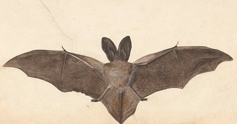 screenshot 20240703 155536