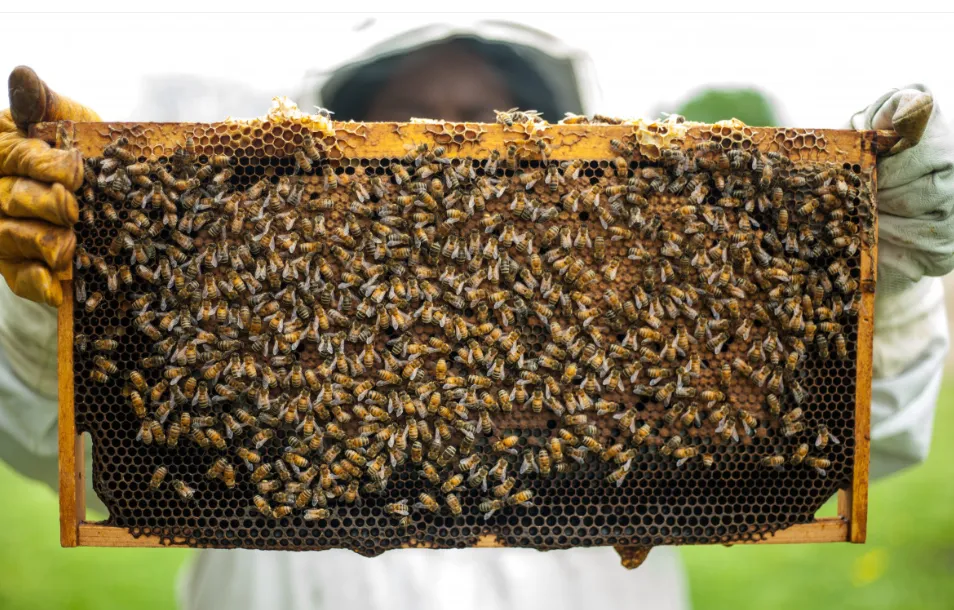 screenshot 20240704 134623