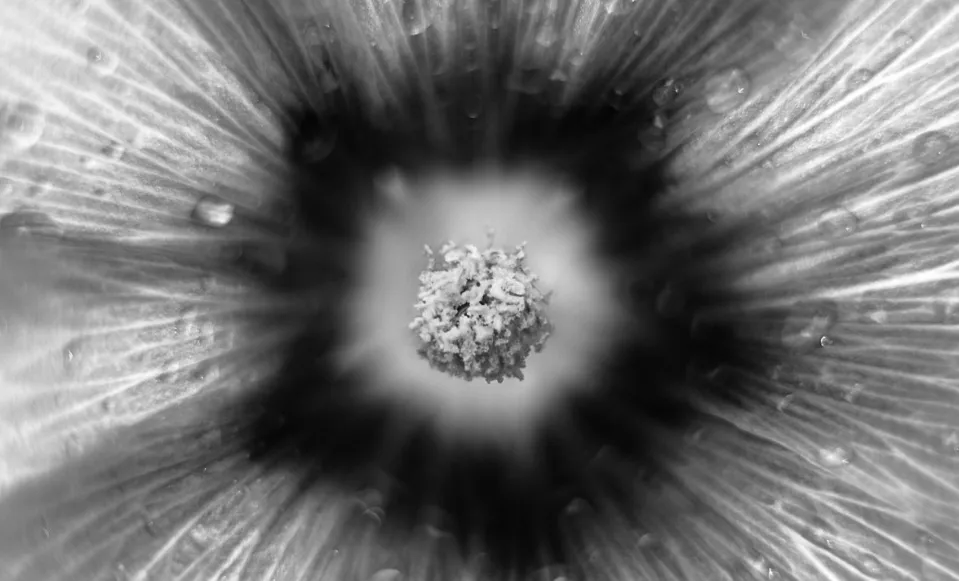 screenshot 20240704 152035