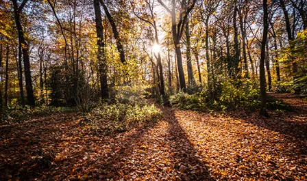 screenshot 20240717 100213