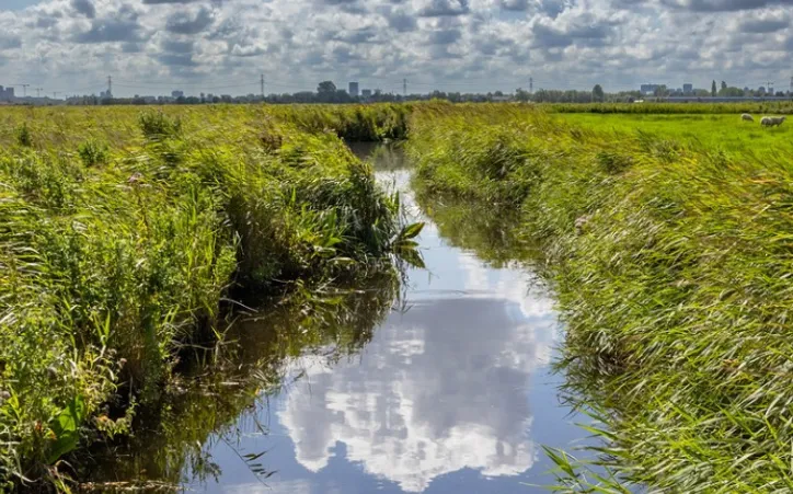 screenshot 20240717 104847