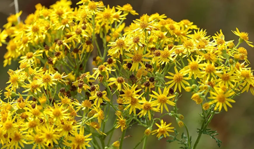 screenshot 20240722 141521