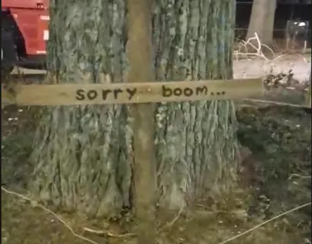 sorry boom