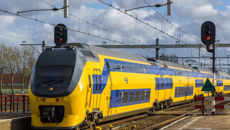 spoor