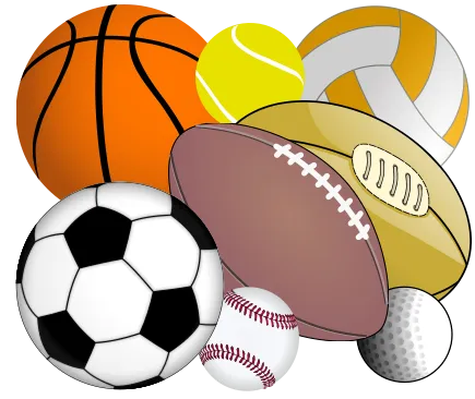 sports e1571478999622