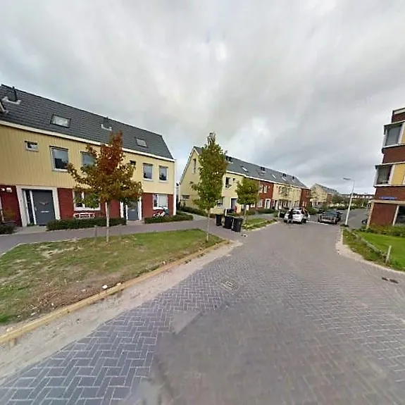 streetview groene arend