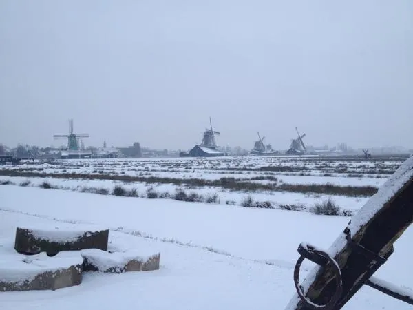 twitter pj van steenbergen