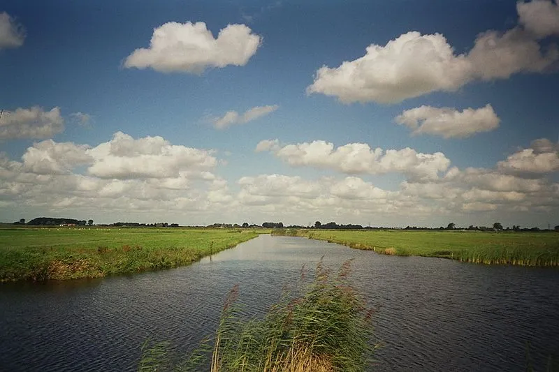 veld