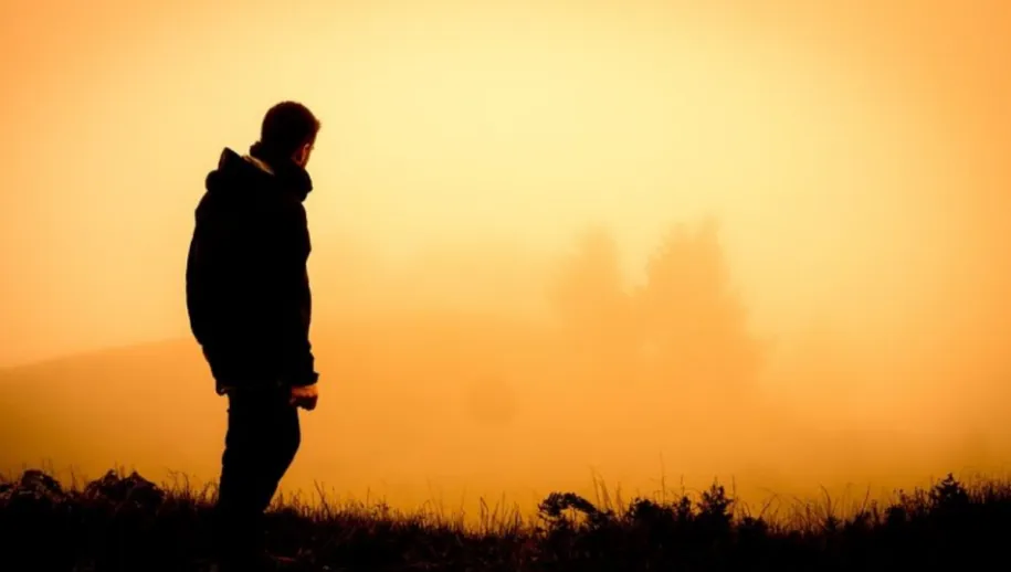 vermistl 22 915x518 1