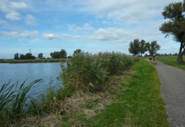 westdijk
