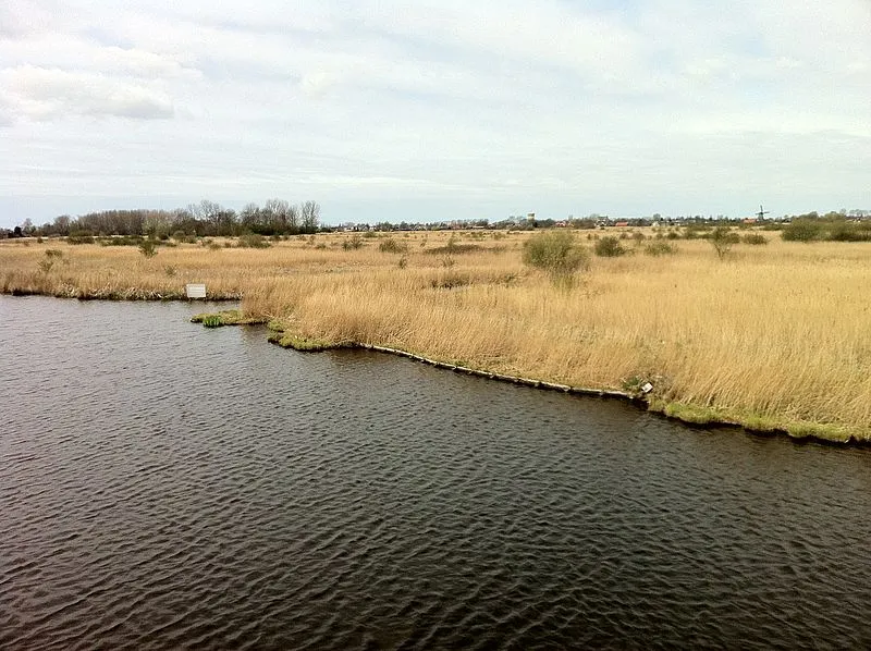 westzijderveld