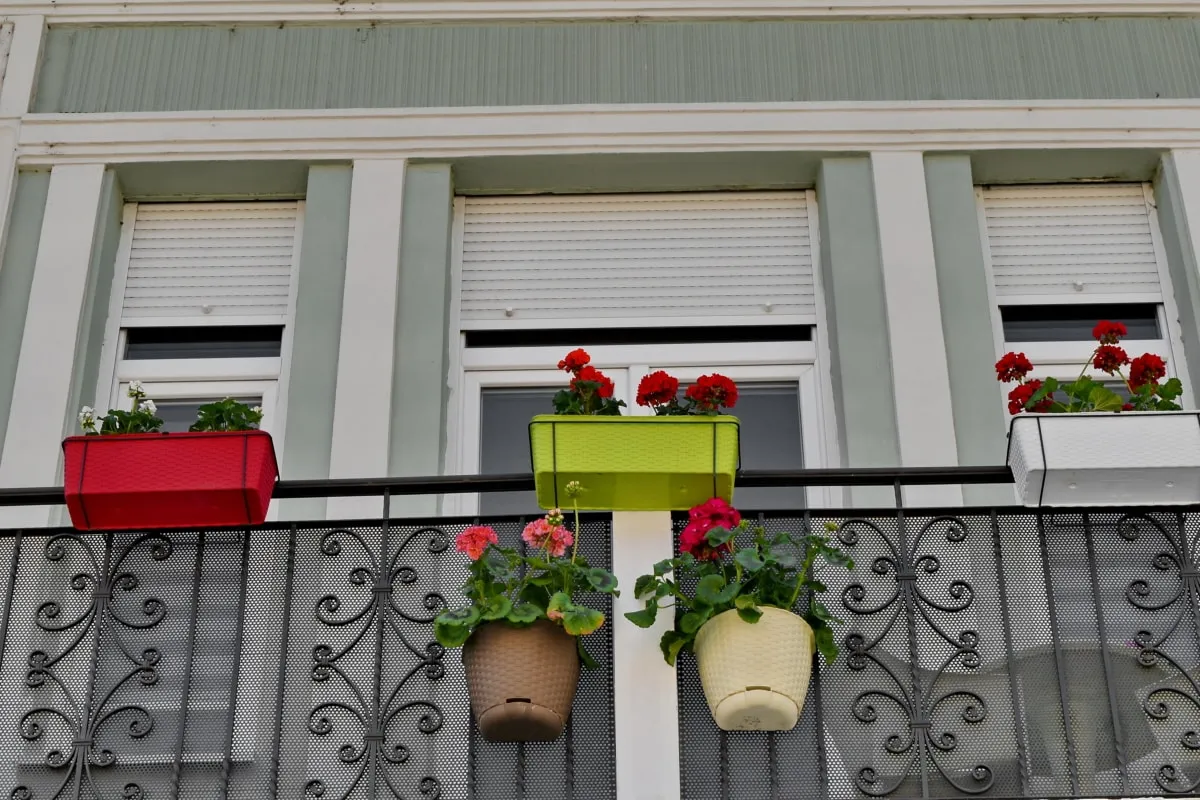 wonen1