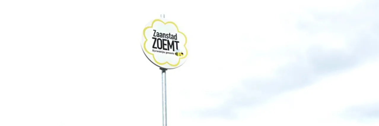 zoemt