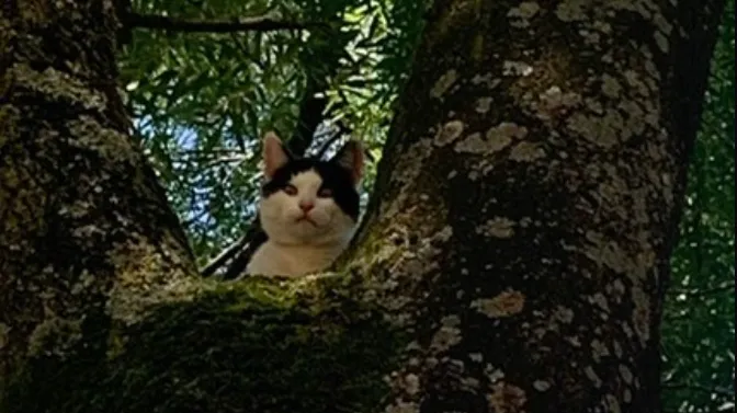 screenshot 20240812 172138