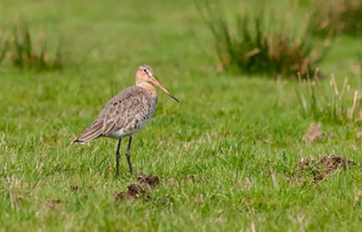 screenshot 20241006 125937