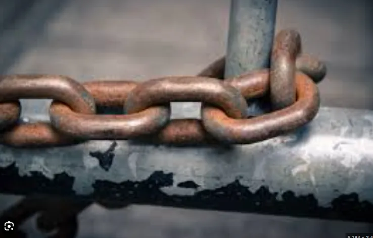 screenshot 20241010 122518