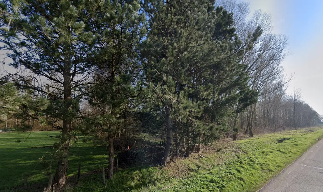 screenshot 20241016 105138