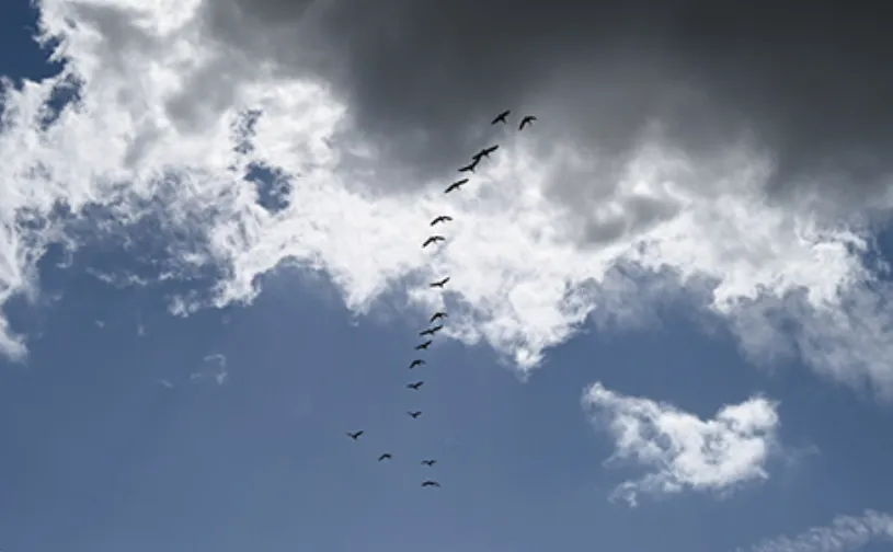 screenshot 20241021 133550