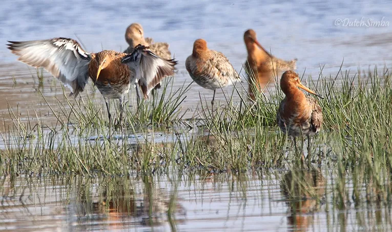 screenshot 20241105 154709