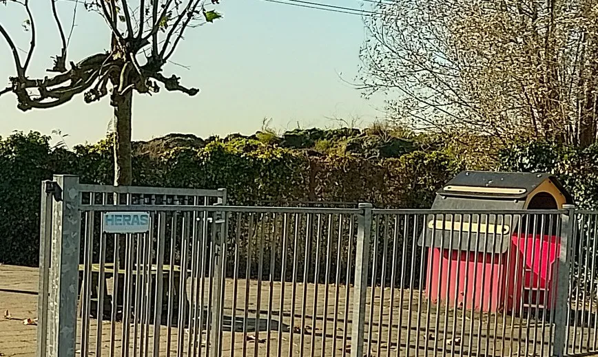 screenshot 20241110 102053