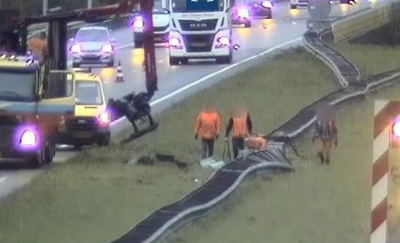 screenshot 20241120 101335