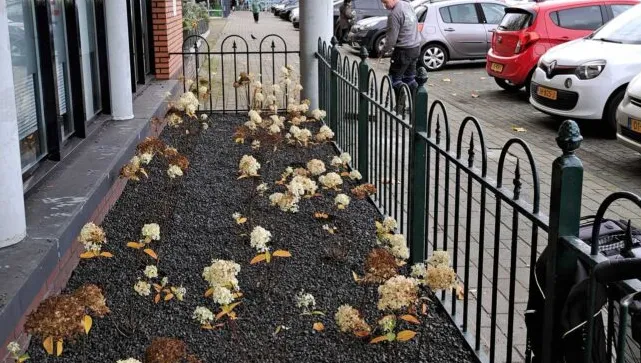 screenshot 20241121 143602