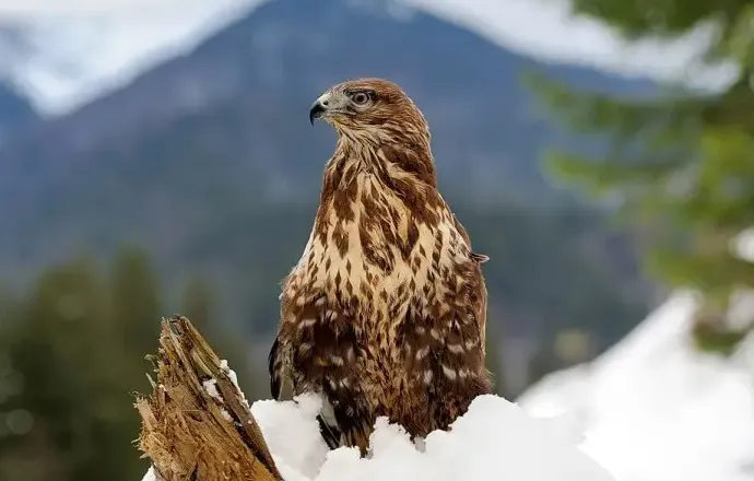 screenshot 20241202 110635