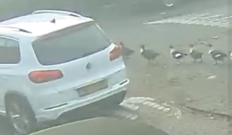 screenshot 20241207 113537