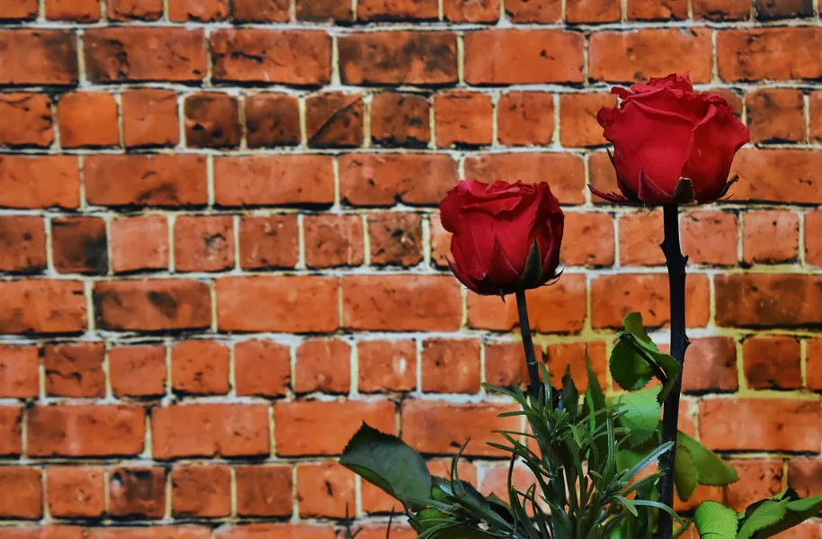 screenshot 20241209 103849