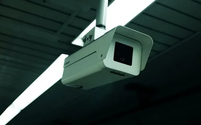 screenshot 20241210 100746