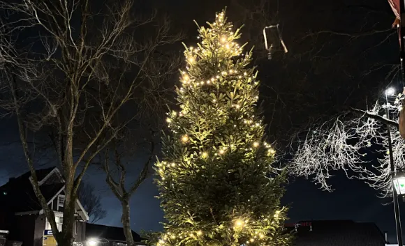 screenshot 20241210 130310