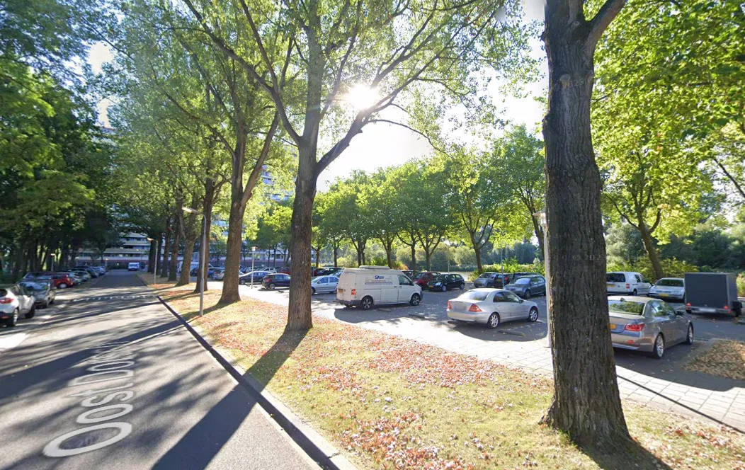 screenshot 20241211 145829