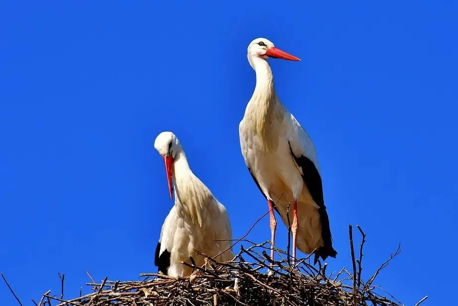 screenshot 20200504 145728jpg