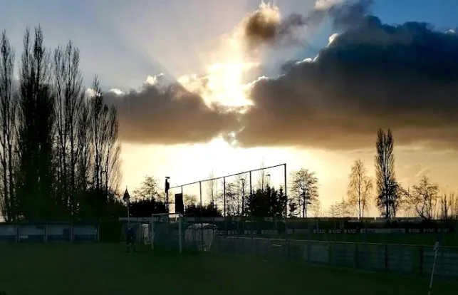 screenshot 20250124 110340