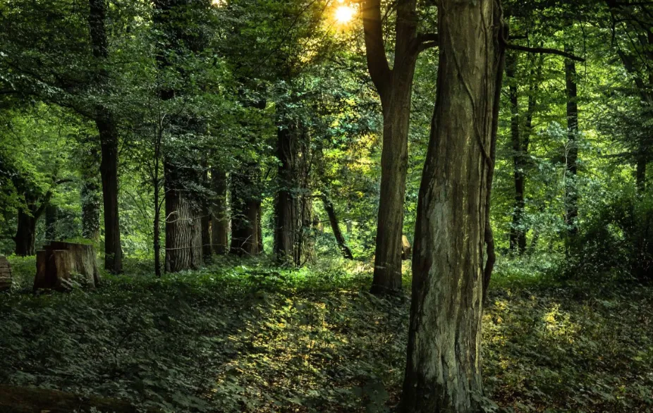 screenshot 20250227 113901