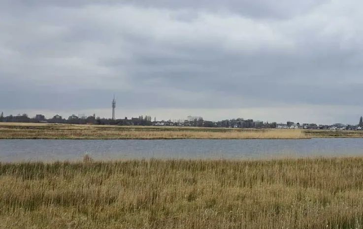 screenshot 20250309 083605