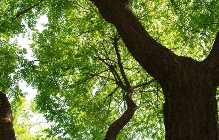 screenshot 20250312 100133