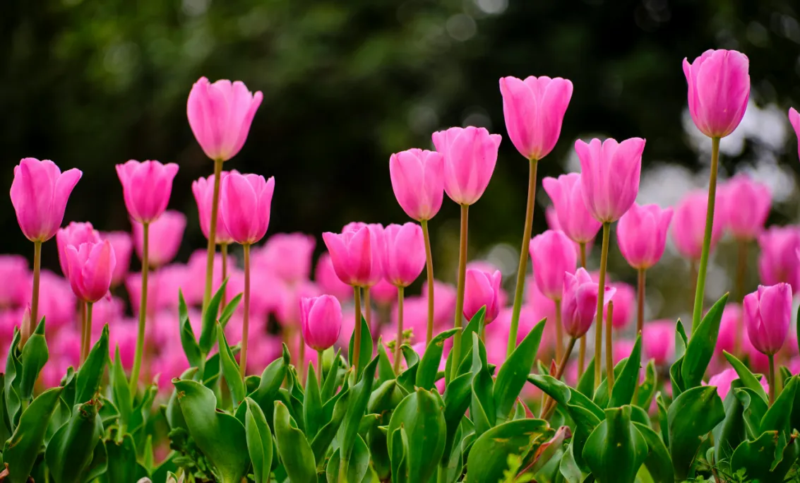 screenshot 20250317 100121