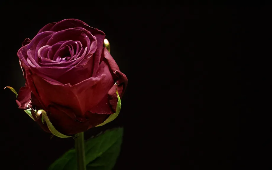 Screenshot_20250829_104538