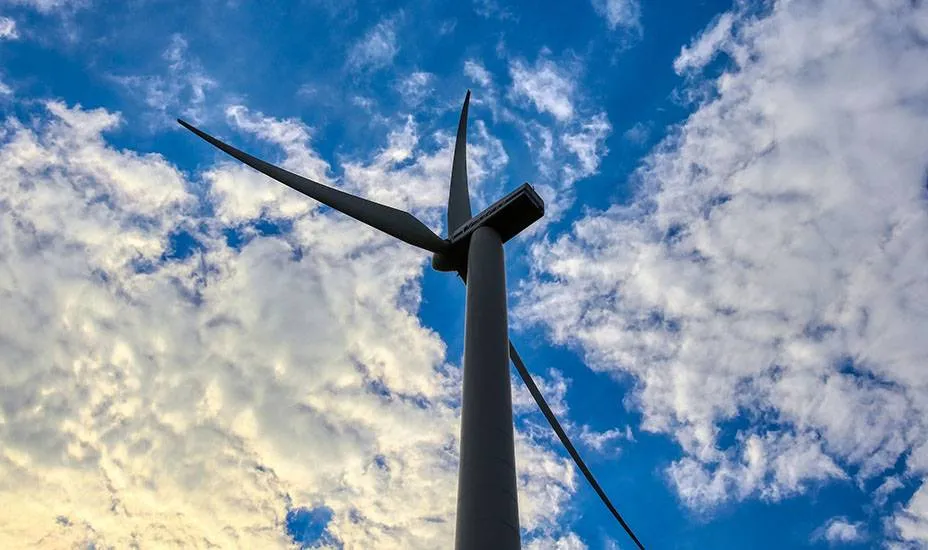 Procedure windturbines Westelijk Havengebied Amsterdam