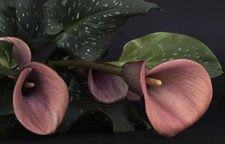 Screenshot_20251028_132015