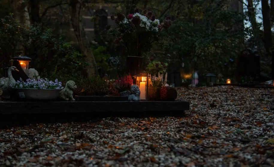 Screenshot_20251102_114139