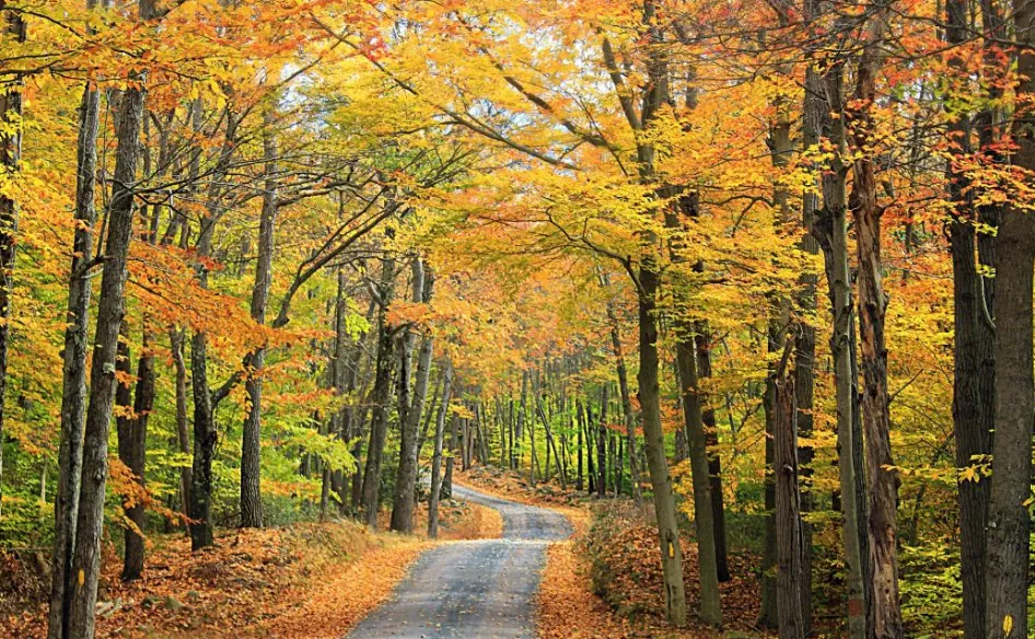 Screenshot_20251109_143456