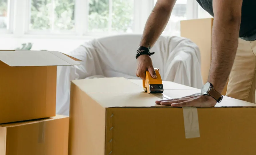 Screenshot_20251111_110326