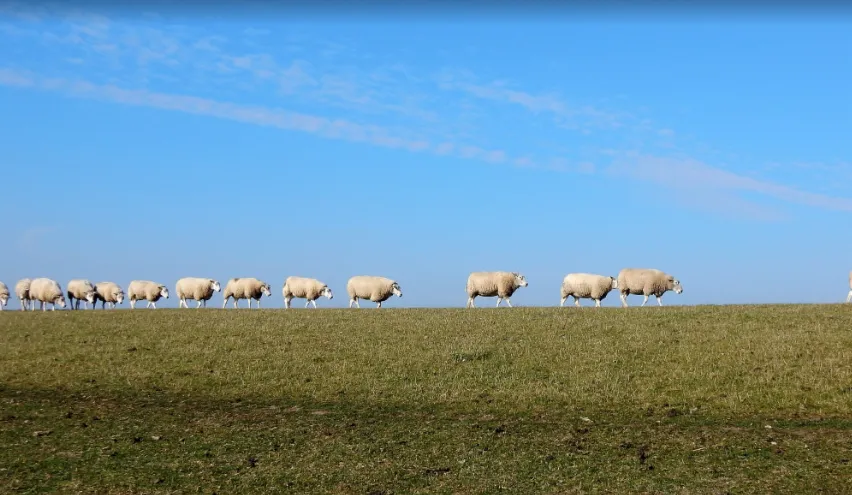 Screenshot_20251118_103115