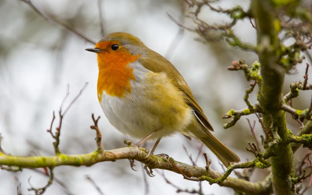 Screenshot_20251122_143845