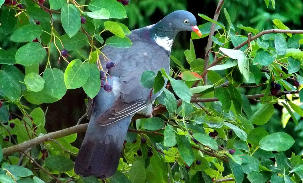 Screenshot_20251124_155455