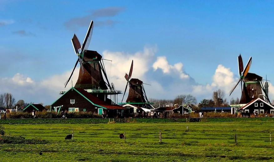 Screenshot_20251125_133059