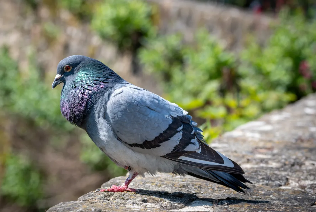 Screenshot_20251127_115912