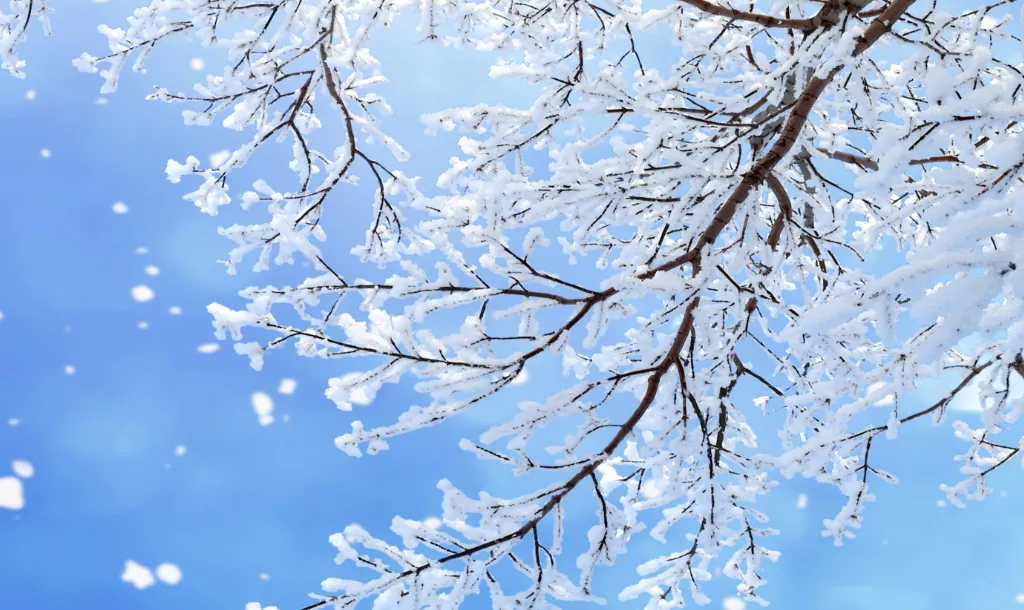 Screenshot_20251130_130139